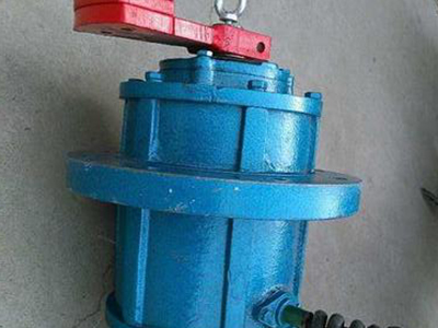 YZSL立式振動電機(jī)